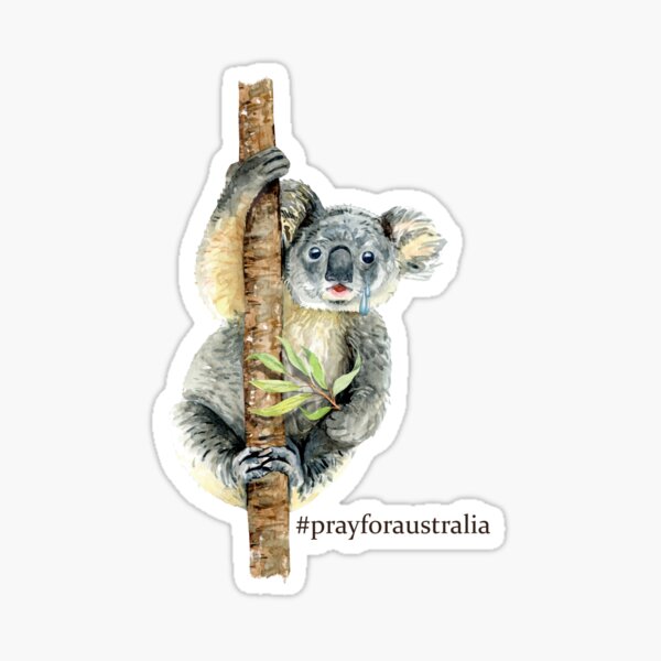 Pray for Australia Koala Sticker