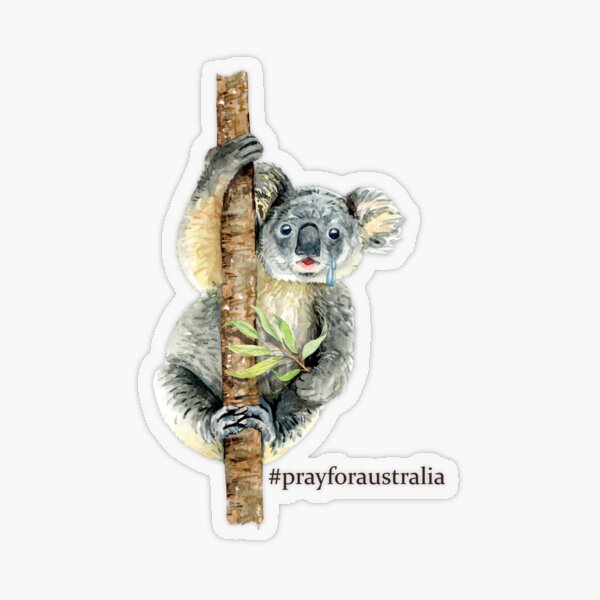 Pray for Australia Koala Transparent Sticker