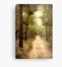 The roads with no names hold the greatest adventures Metal Print
