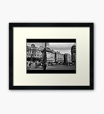 Stomping ground Framed Print