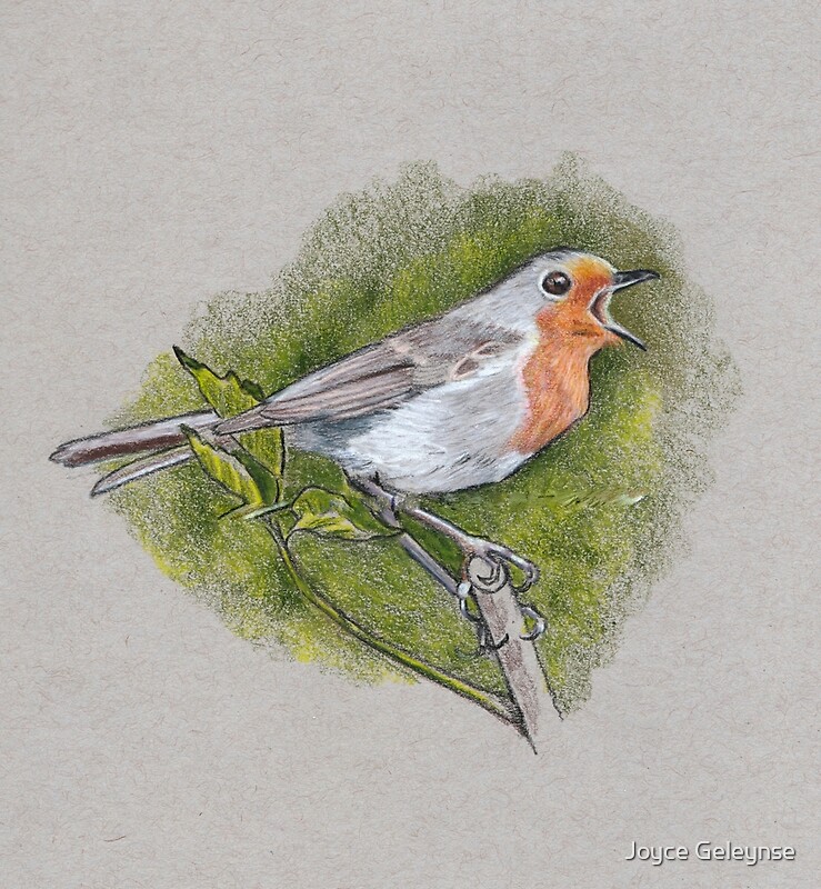 Singing Bird Color Pencil Art Wildlife Drawing Original Art Nature By Joyce Geleynse 