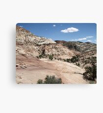 Haymaker Bench Drainage Canvas Print