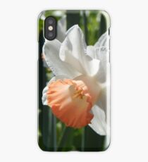Two-tone Daffodils iPhone Case