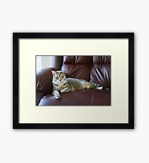 Sophie Framed Print