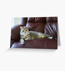 Sophie Greeting Card