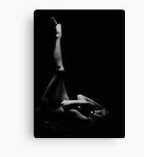 Modesty Canvas Print