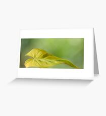 Fallen Heart Greeting Card