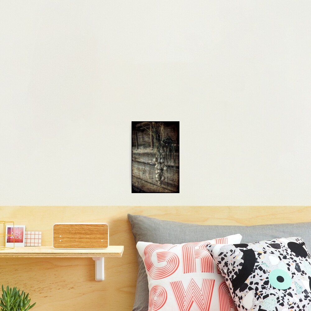 The Harvest Photographic Print