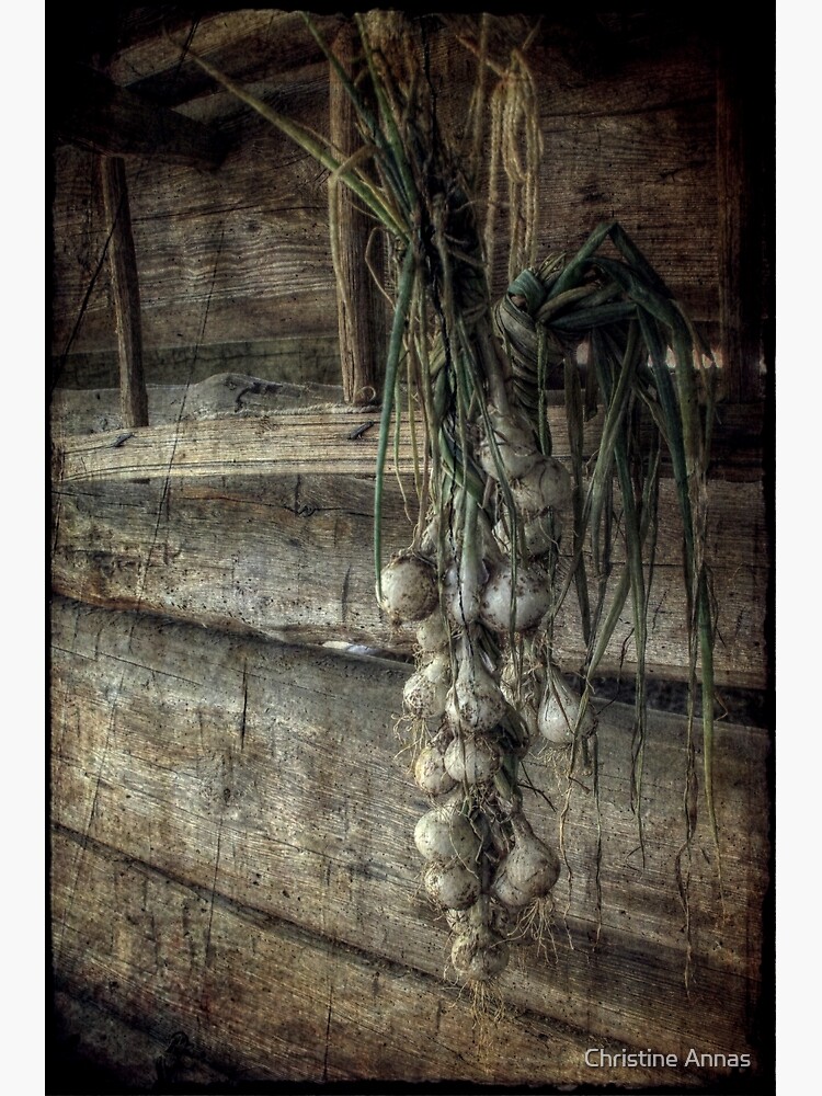 The Harvest by 2Bricks