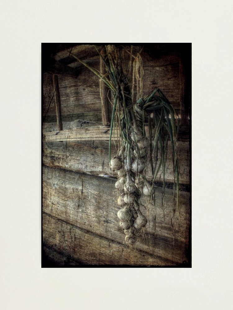 Alternate view of The Harvest Photographic Print