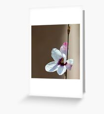 One with It. Greeting Card