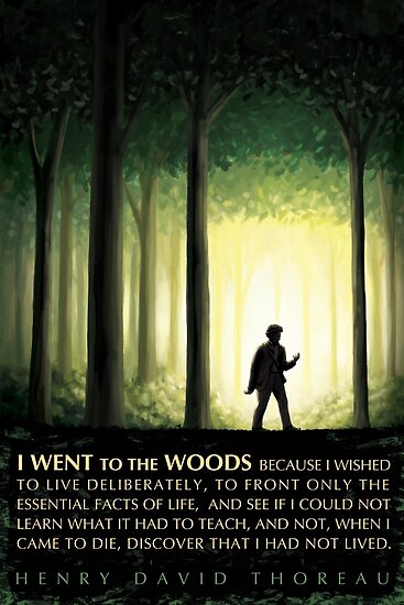 Henry David Thoreau Zitat Ich Ging In Den Wald Poster Von Elvin