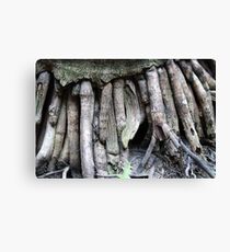 Roots Canvas Print