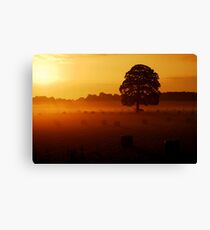 "GOLDEN OAKY" Canvas Print