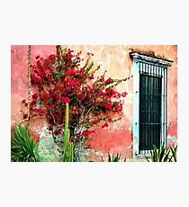 Flower House Photographic Print