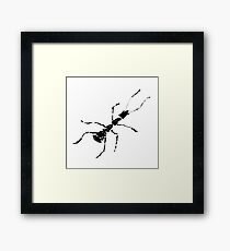haiga IV Framed Print