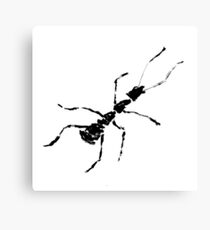 haiga IV Canvas Print