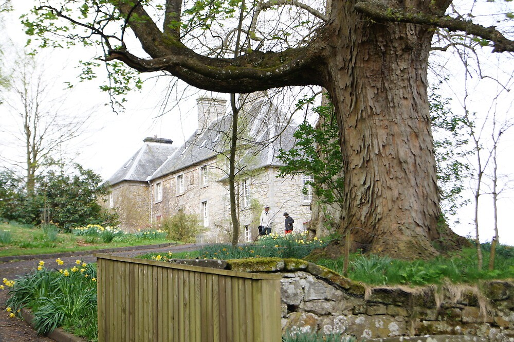 "Brucefield Manor, Balgownie fife." by Dougie Shaw Redbubble