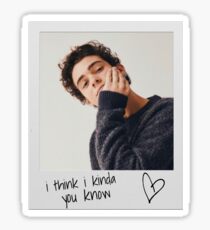 Joshua Bassett Polaroid Sticker
