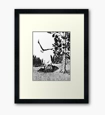 Youth Renewed Framed Print