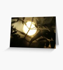 Understanding Greeting Card