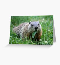 Critter with Leaf - Omega 7-10 Greeting Card