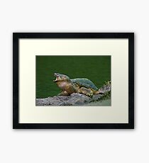 Holy Snapper! Framed Print