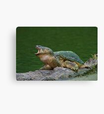 Holy Snapper! Canvas Print