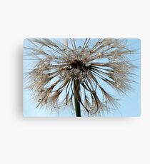 Water Brush Canvas Print