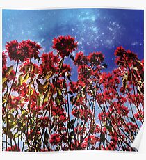 Flowers galaxies Poster