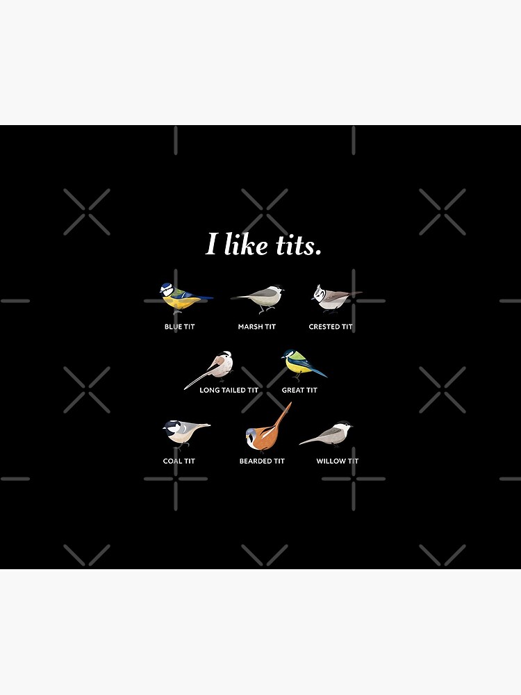 I like tits. | Funny Gift for Bird watching & Ornithology Fan by Qwerty-Designs