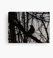 "Lone Bird" Canvas Print