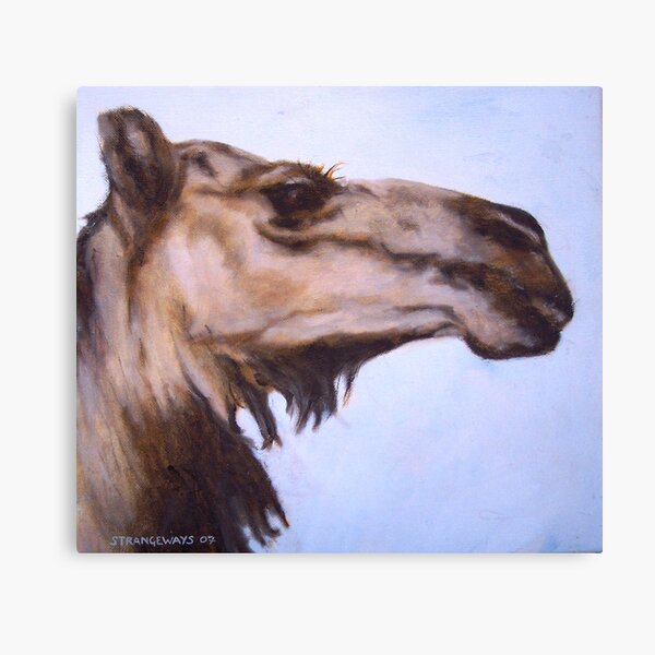 Cuzco Canvas Print