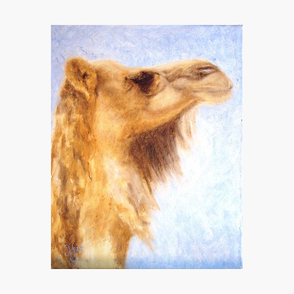 Joan Photographic Print