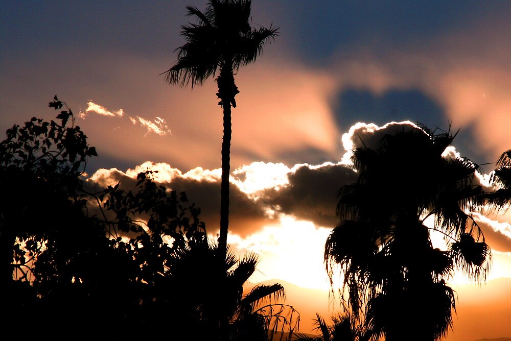  Palm Desert CA Sky By Funandbold Redbubble