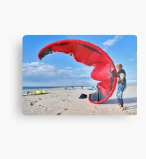 Battle with a kite Metal Print
