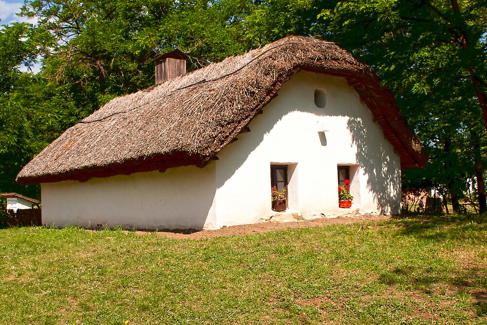 Traditional old hungarian village house