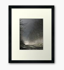 Misty path Framed Print