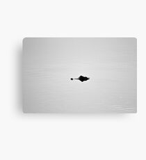 Alligator Minimalism Canvas Print