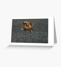 Here I come Greeting Card