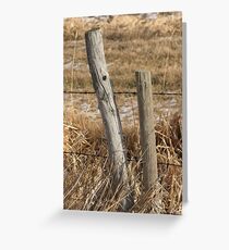 Side by Side Greeting Card