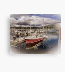 Eirinn Rose Metal Print
