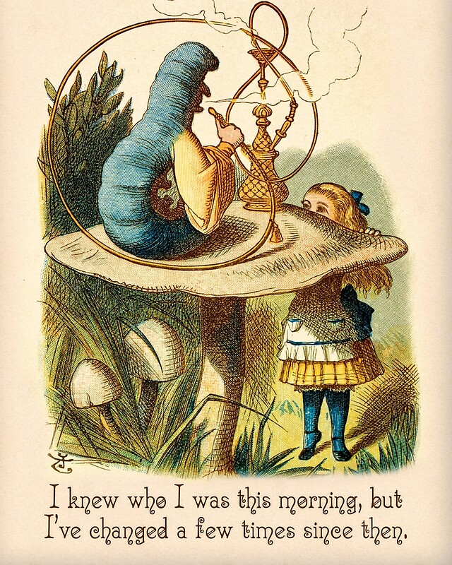 "Alice in Wonderland Quote I Knew Who I Was Caterpillar Quote