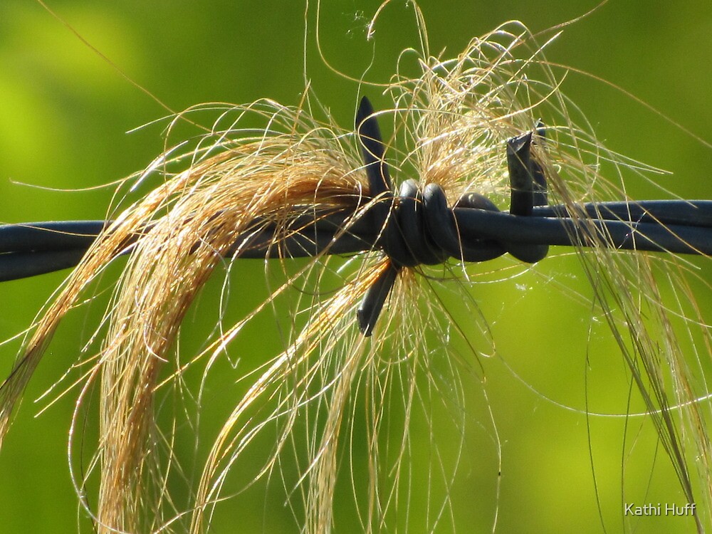 "Snagged" by Kathi Huff Redbubble