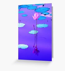 Sunset Colors Reflected On The Lily Pond Greeting Card