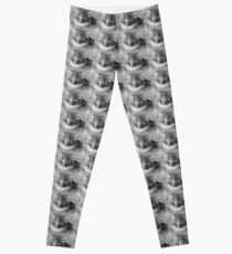 Handsome Beast Leggings