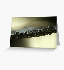 Untitled Greeting Card