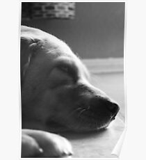 Louie Poster