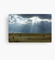 Open Range Canvas Print