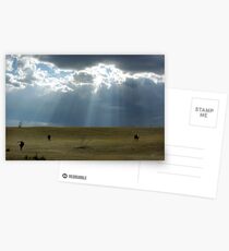 Open Range Postcards